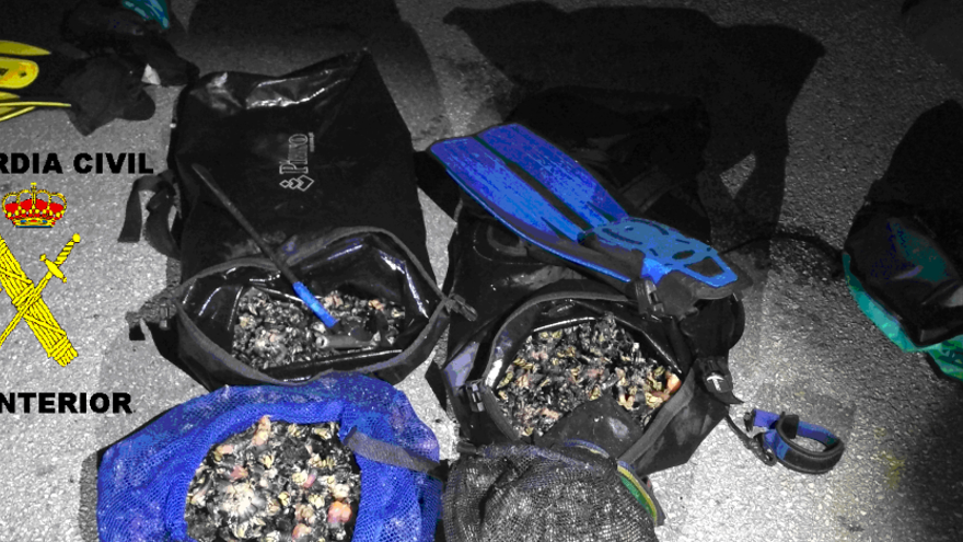 La Guardia Civil sorprende  a dos furtivos con 44 kilos de percebes