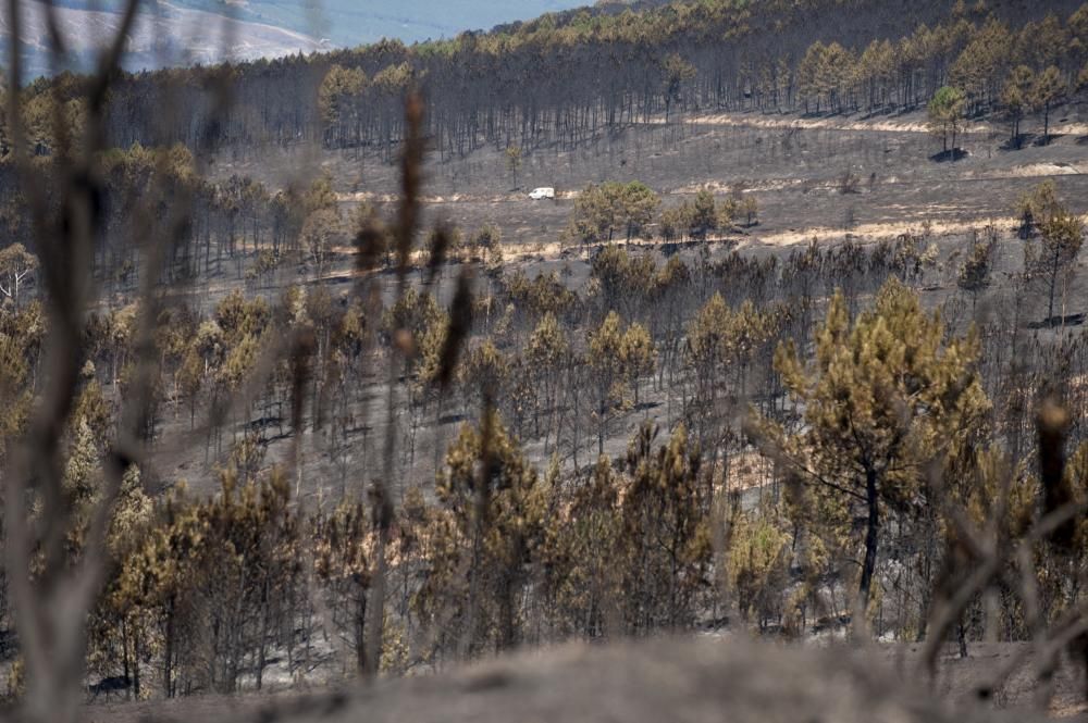 Verín, en alerta por un incendio forestal