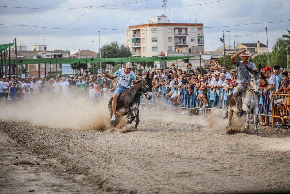 Carrera de burros y asnos y exhibición canina en D