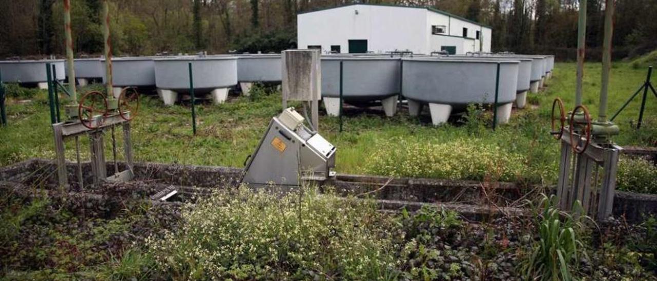 La imagen del abandono en las distintas instalaciones se mezcla con la del asedio de la maleza. // Bernabé/Luismy