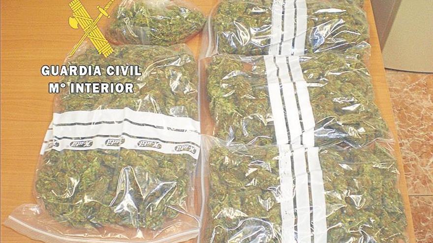 La Guardia Civil cierra un año récord de capturas de marihuana en Cáceres