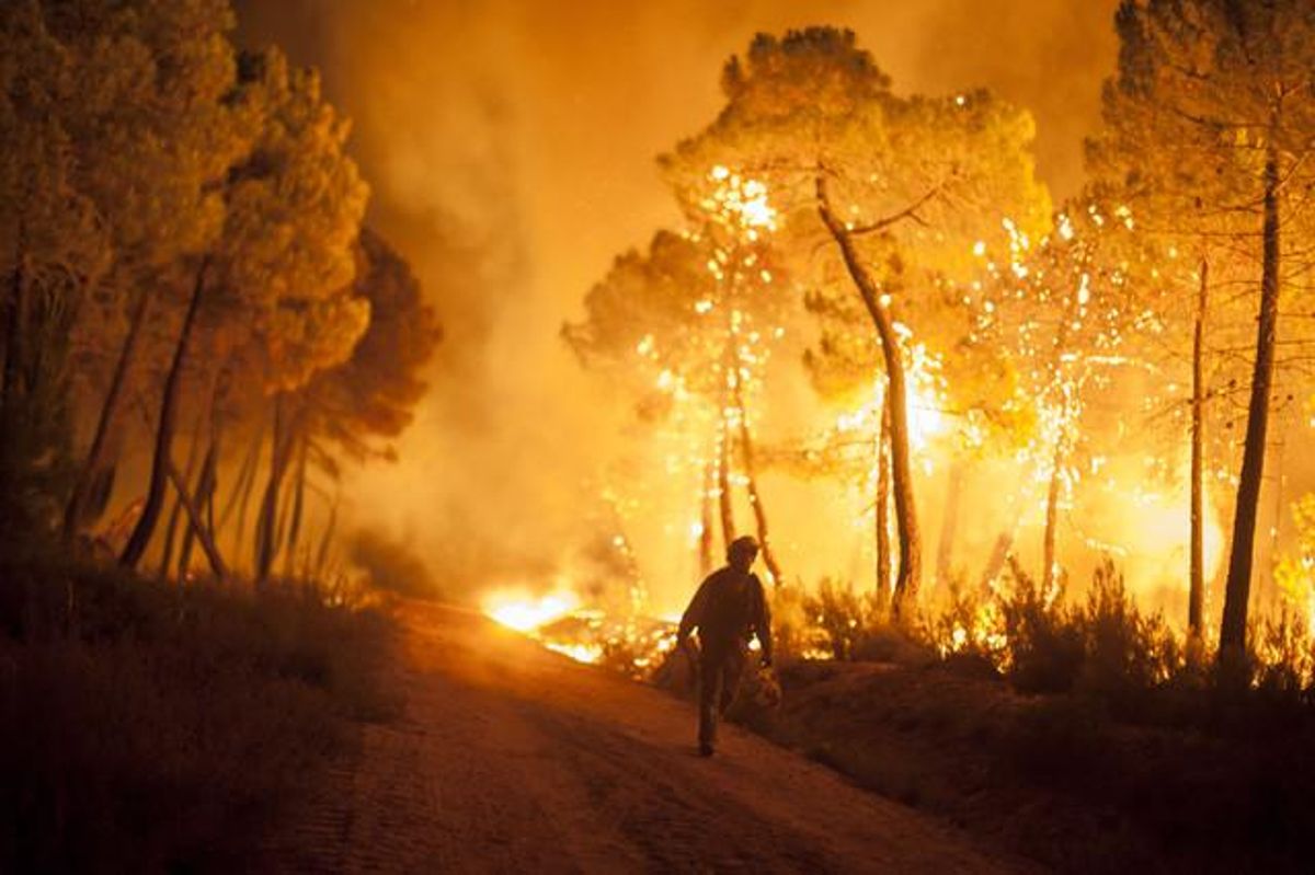 Un membre dels equips d’extinció d’incendis camina davant les flames. Un membre dels equips d’extinció d’incendis camina davant les flames.