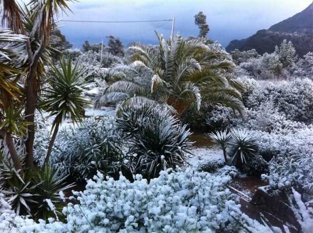 Schnee Mallorca Winter 2017