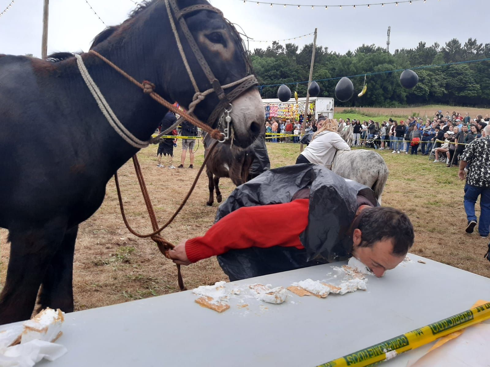 Collao, la competición más bestial: ocho burros disfrazados y a la carrera