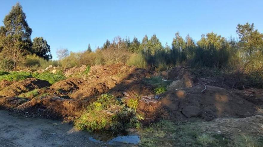 Coirós regenerará un bosque de ribera de A Cortella degradado por una antigua cantera y los eucaliptos