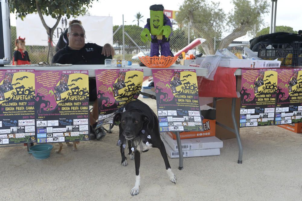 Halloween en el parque canino de Gran Alacant