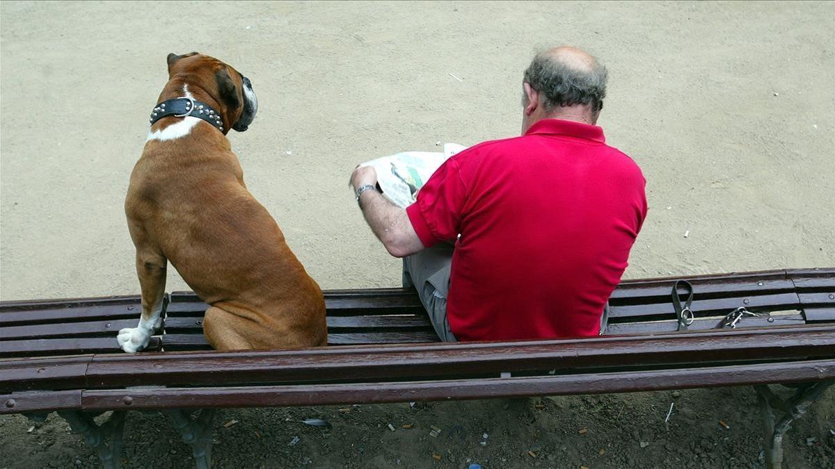 Un hombre y un perro, en un banco en Barcelona.