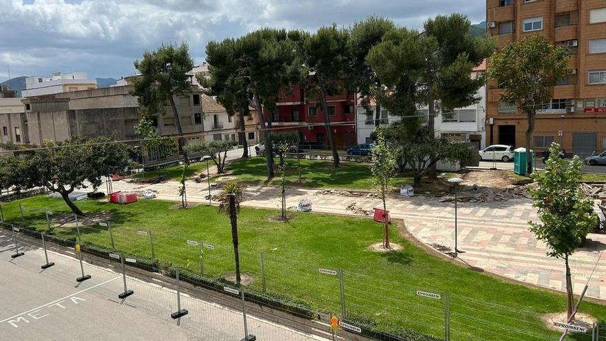 Xeraco retira varias palmeras afectadas por el picudo rojo en el casco urbano