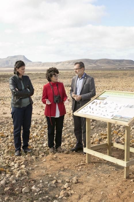 FUERTEVENTURA - El presidente del Cabildo de Fuerteventura, Marcial Morales, y la consejera de Medio Ambiente, Natalia Évora, presentan los paneles interpretativos de la Reserva Ornitológica de la Finca El Jarde, en Antigua - 29-03-16