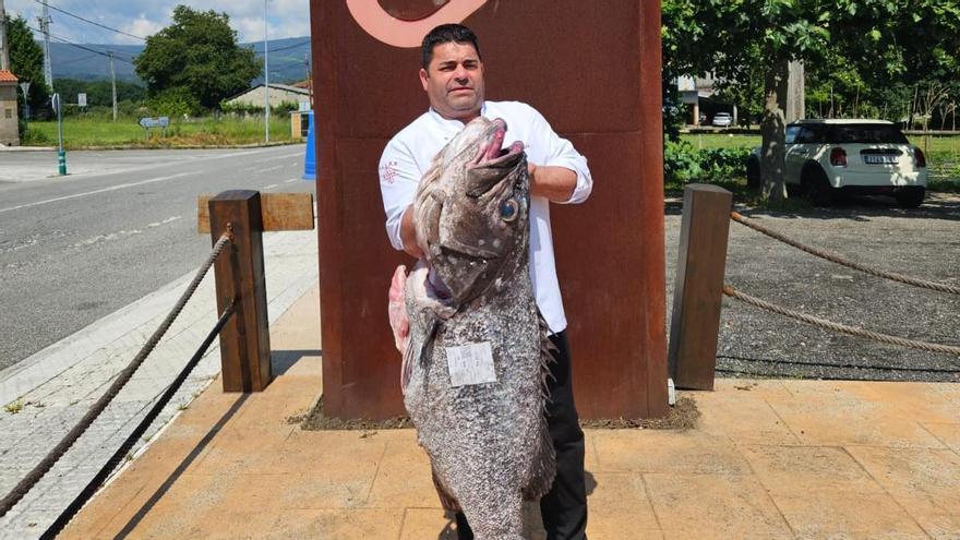 Vilatuxe recibe al señor de las rocas