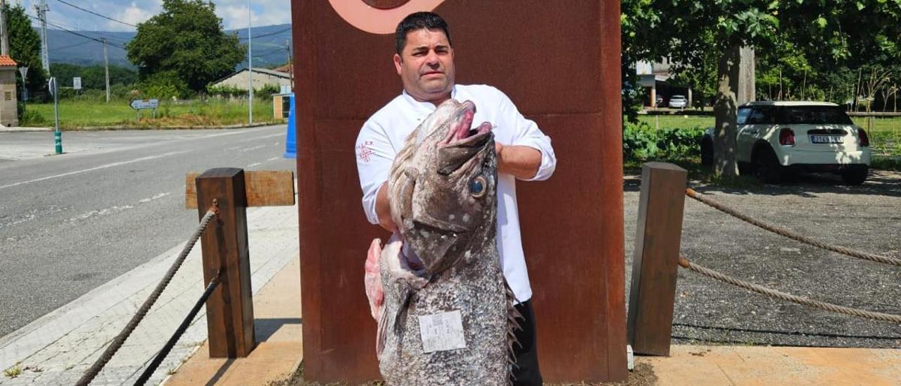 El mero de 41 kilos del restaurante O Cruce, de Vilatuxe.