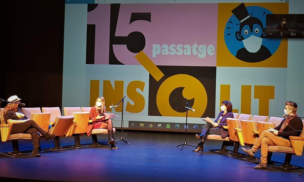 passatge inslit passatge inslit