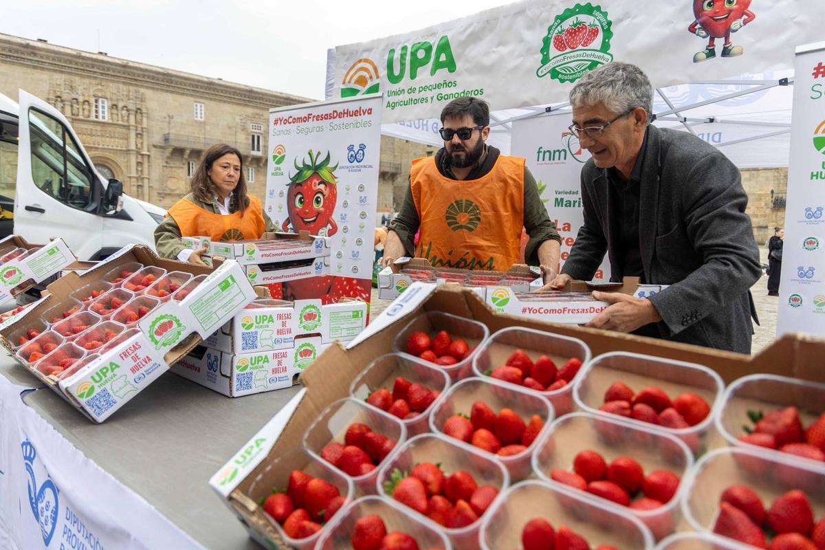 Reparten fresas de Huelva en la plaza del Obradoiro para promover su "calidad y garantía"