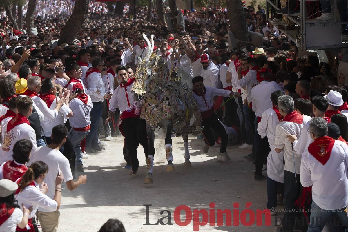 Así se ha vivido la carrera de los Caballos del Vino en Caravaca