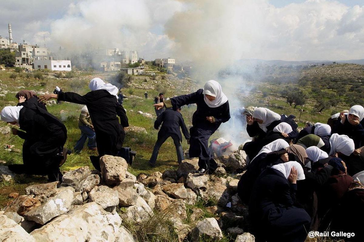 Solidaritat amb Palestina, avui més que mai