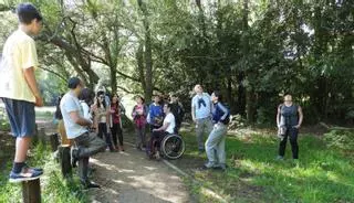 Más de 20 aves identificadas por su canto en O Rosal