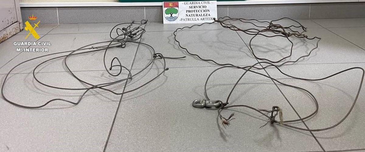 Los lazos prohibidos intervenidos por la Guardia Civil en A Laracha.
