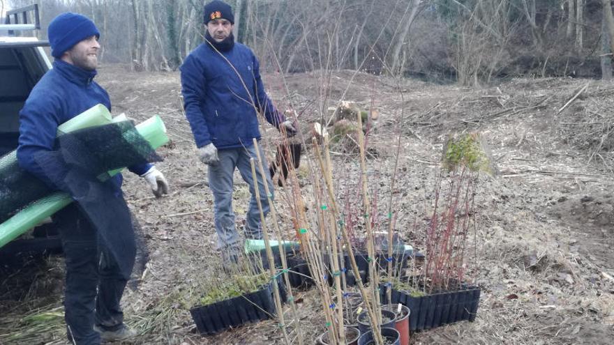 Dos operaris treballant en la plantació d&#039;arbres a l&#039;entorn del Fluvià, en una imatge d&#039;aquest 20 de febrer de 2018.