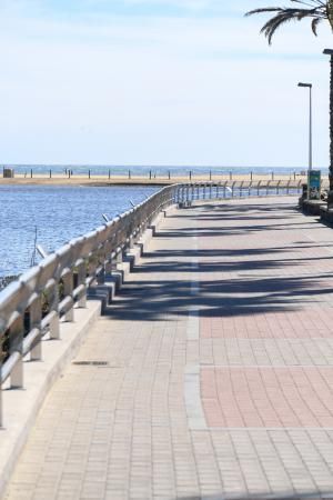 Acumulación de mosquitos en la Charca de Maspalomas