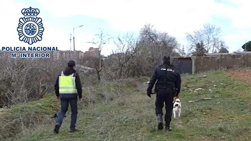 Dos policías durante los registros a fincas y naves en la operación &quot;Primos&quot;.