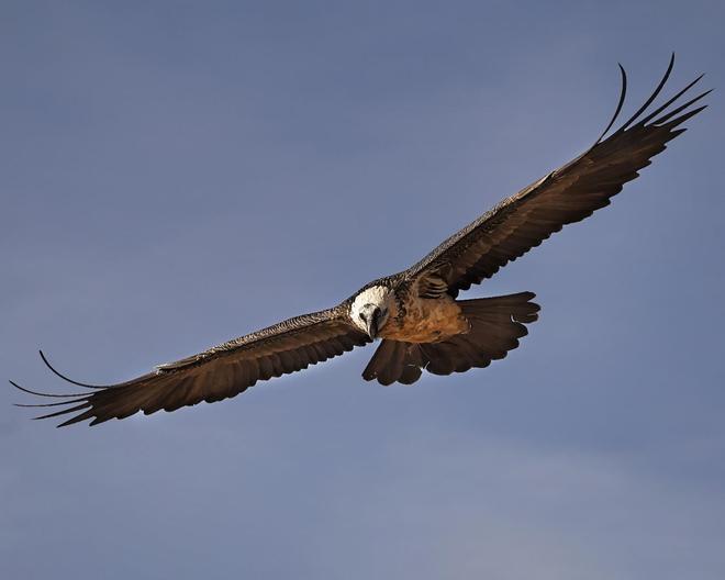 Imatges de José Manuel Musoles que ha format part de l’exposició.