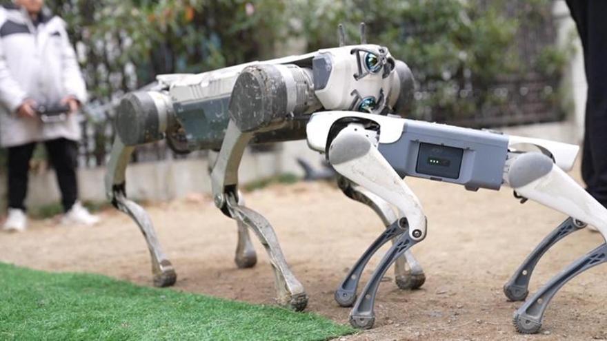 La industria multimillonaria de los perros robóticos chinos