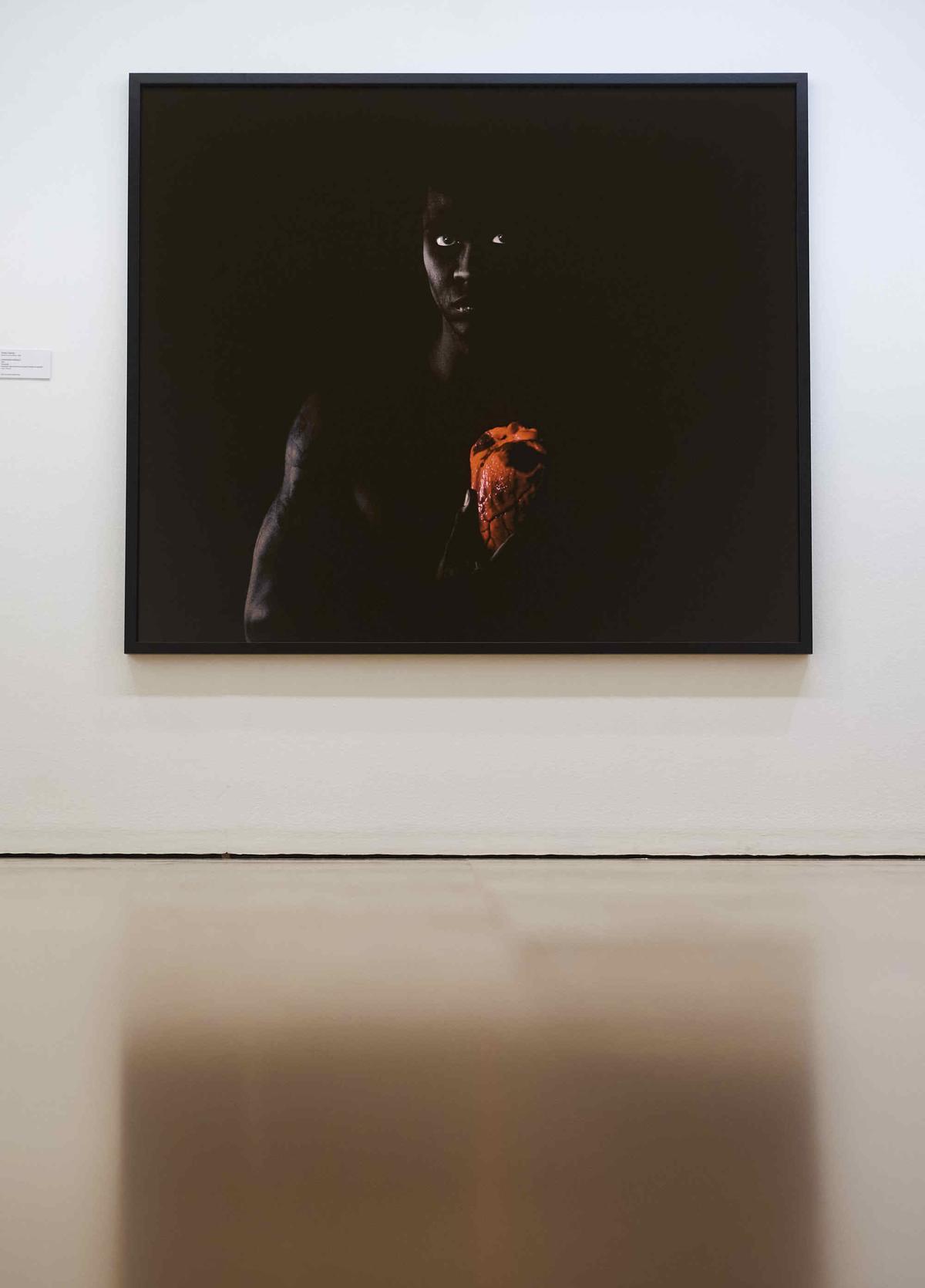Nueva exposición sobre los fondos de CajaCanarias
