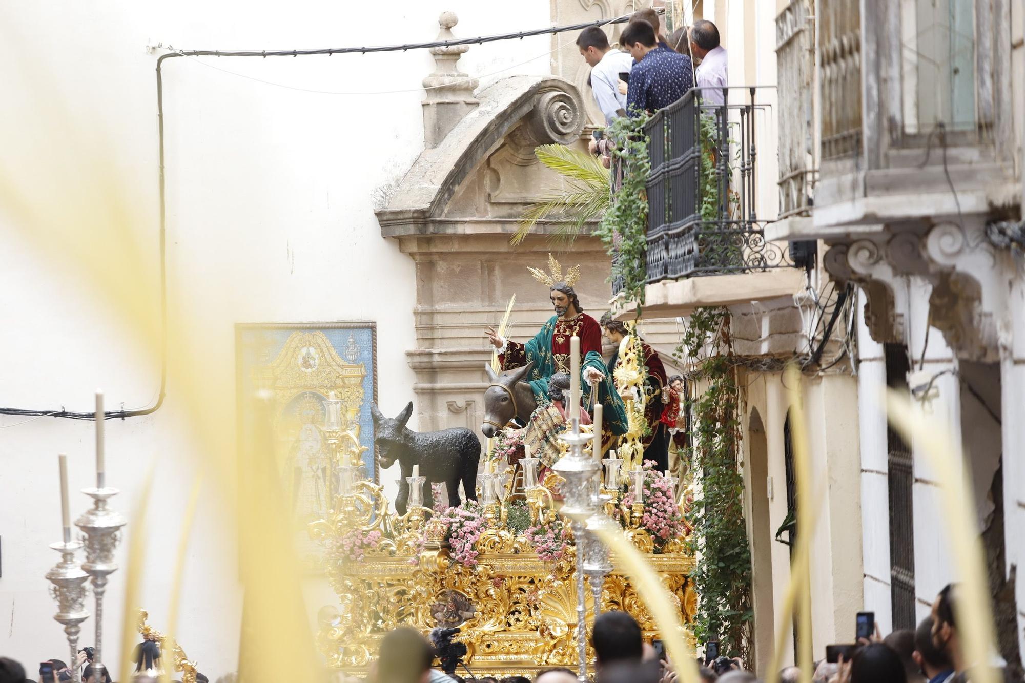 Procesión Magna de Málaga | Pollinica