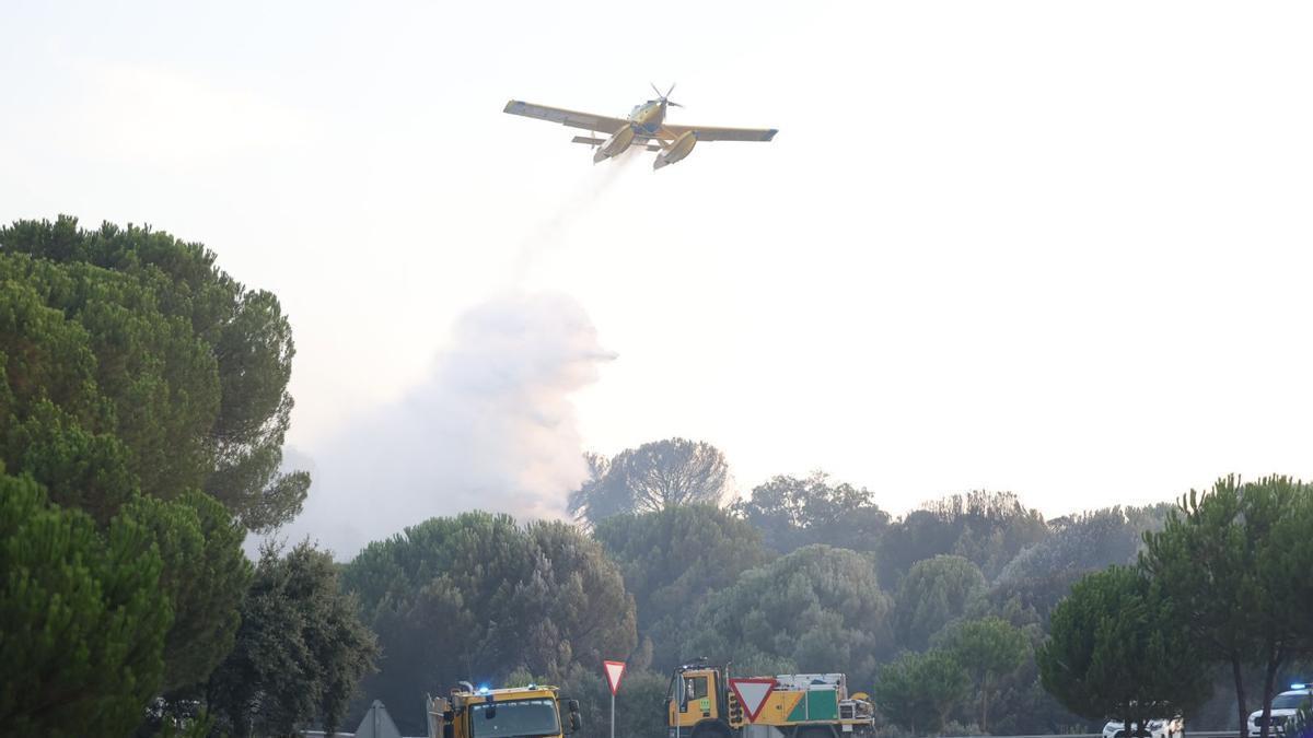 Nuevo incendio forestal en Cerro Muriano