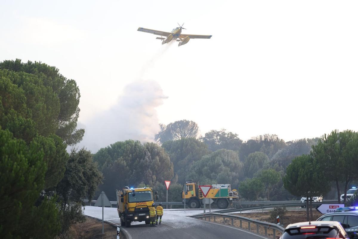 Nuevo incendio forestal en Cerro Muriano, en imágenes