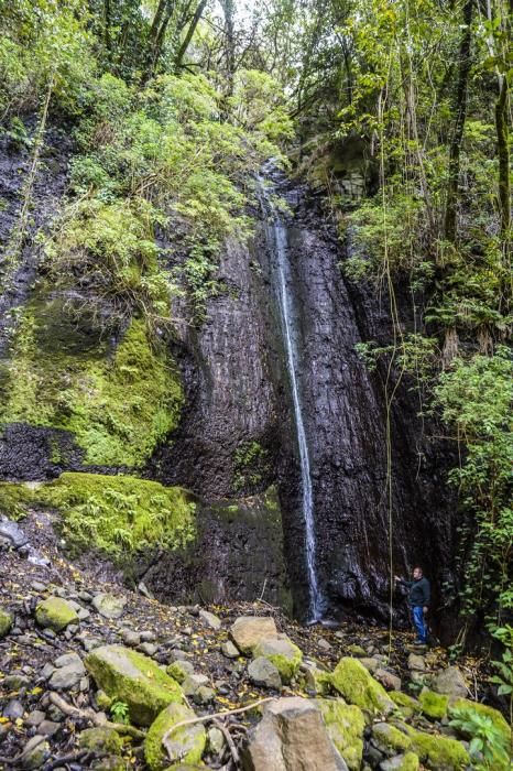 NACIENTES DE AGUA EN EL BARRANCO DE LA VIRGEN