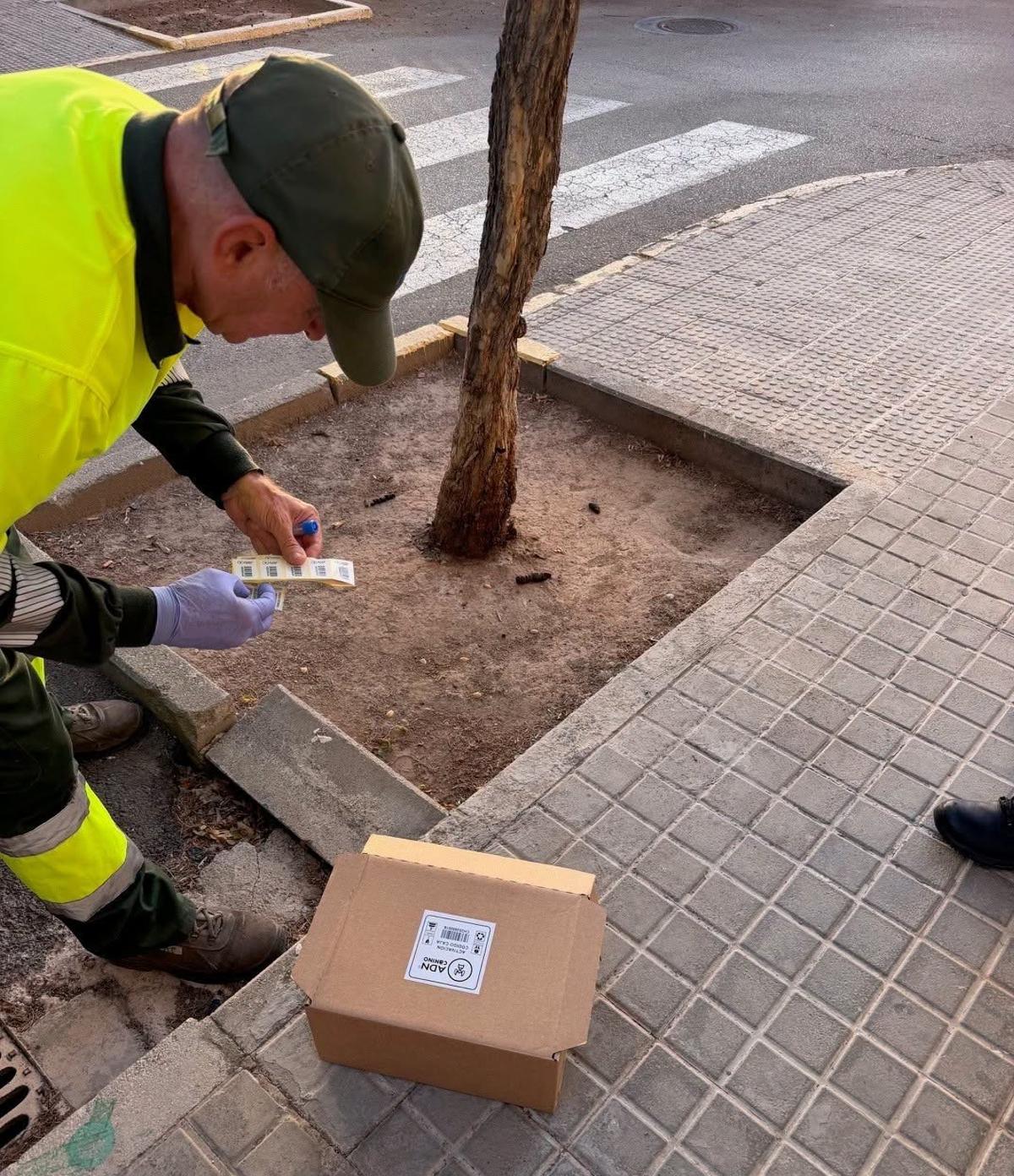 Un operario identifica las muestras.