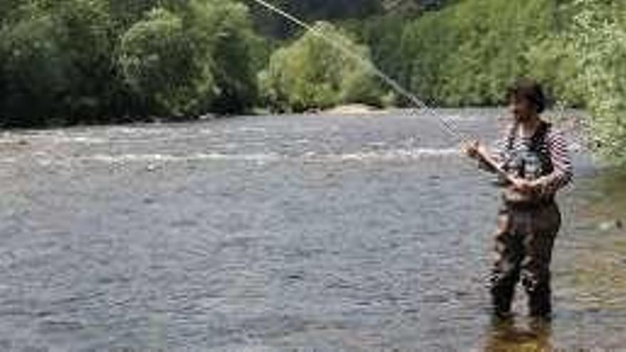 Un pescador en el río Narcea.