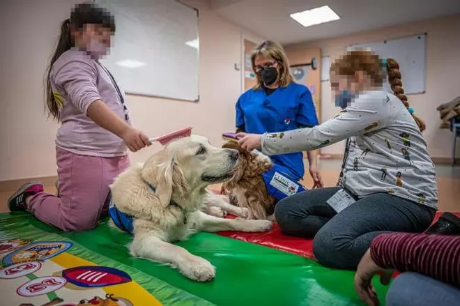 Terapia de salud mental para niños con perros, en el Clínic
