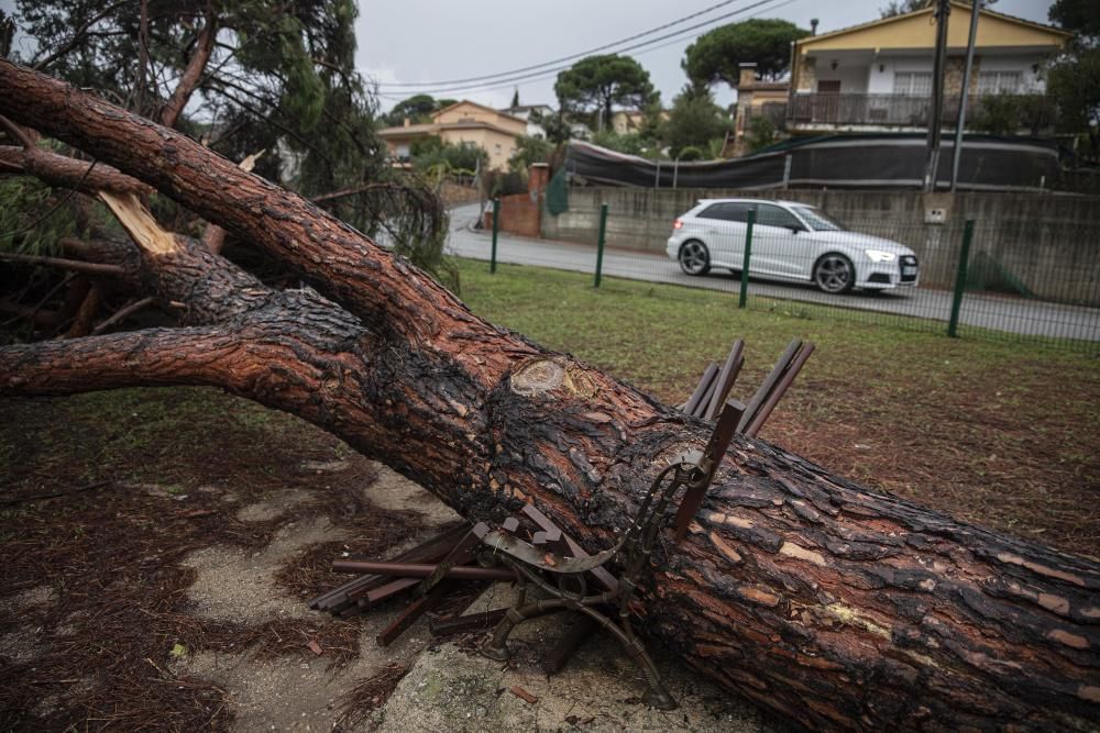 Destrosses a Riells i Viabrea per un tornado