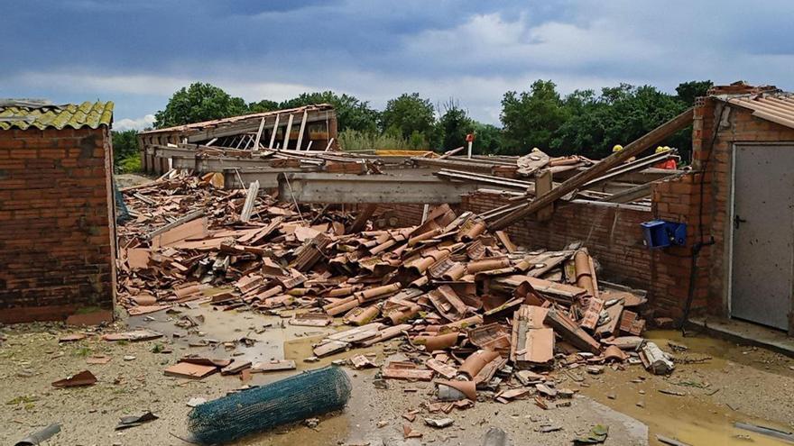 VÍDEO | Una tempesta fa caure l'estructura d'una granja a Masarac i deixa uns 400 porcs morts o ferits