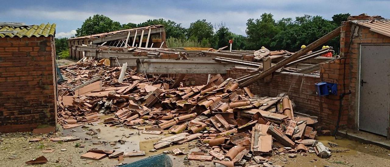 VÍDEO | Una tempesta fa caure l'estructura d'una granja a Masarac i deixa uns 400 porcs morts o ferits