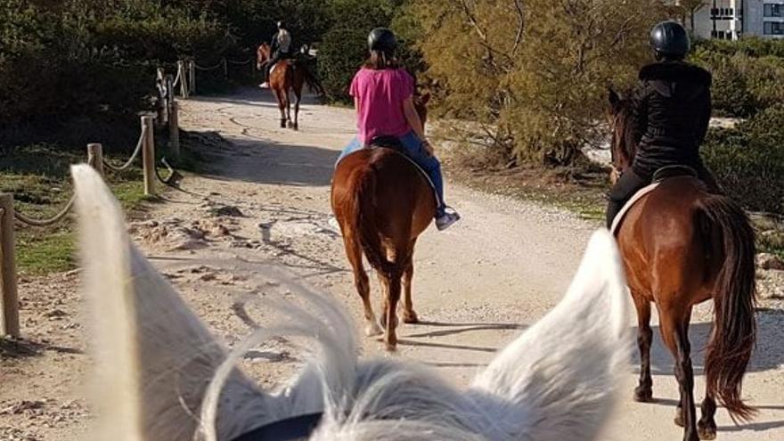 Von der Punta de n&#039;Amer zurück zum Rancho Bonanza.