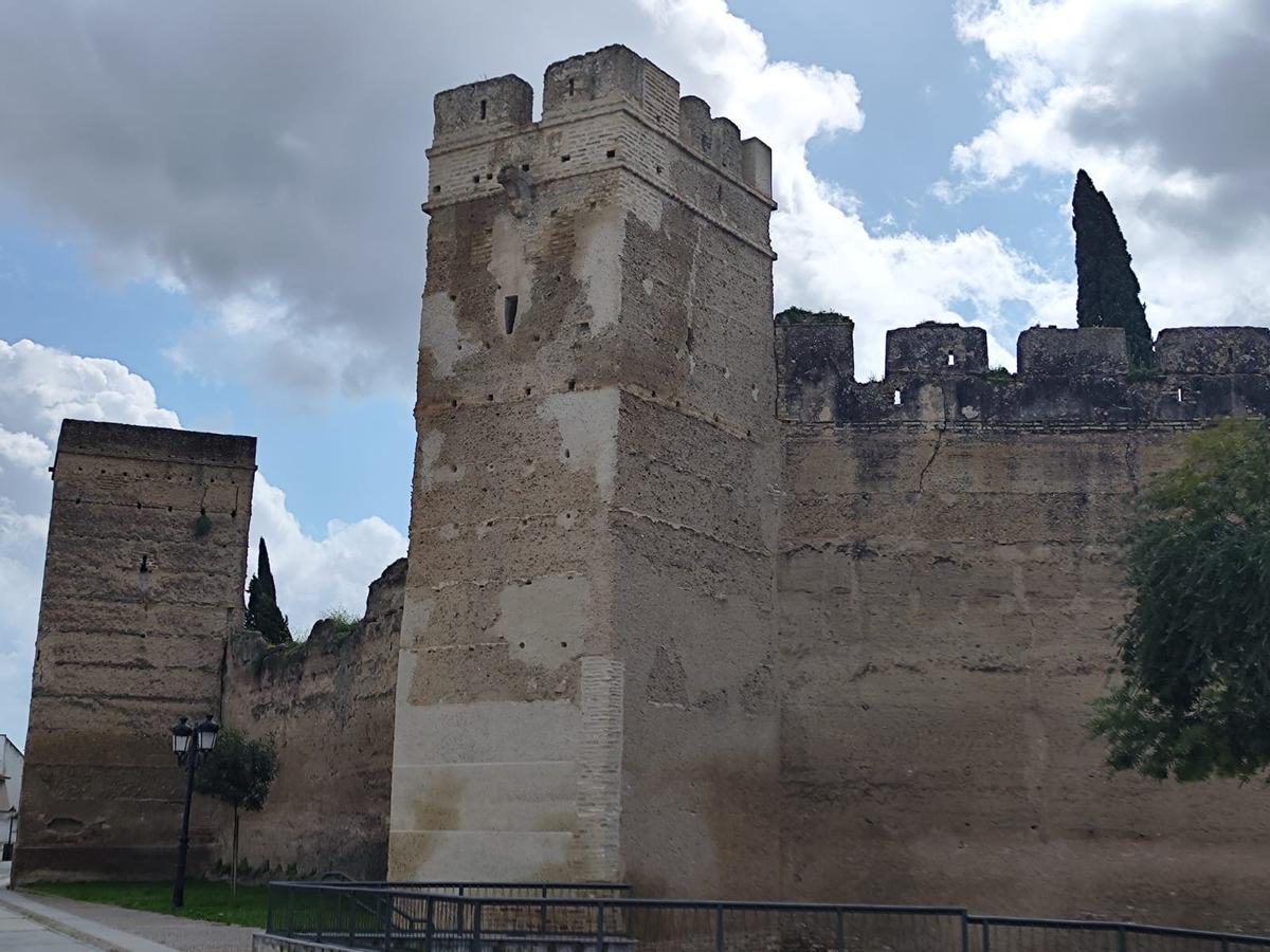 Zona en la que están apareciendo palomas muertas o moribundas, junto a la muralla almohade de Palma del Río.