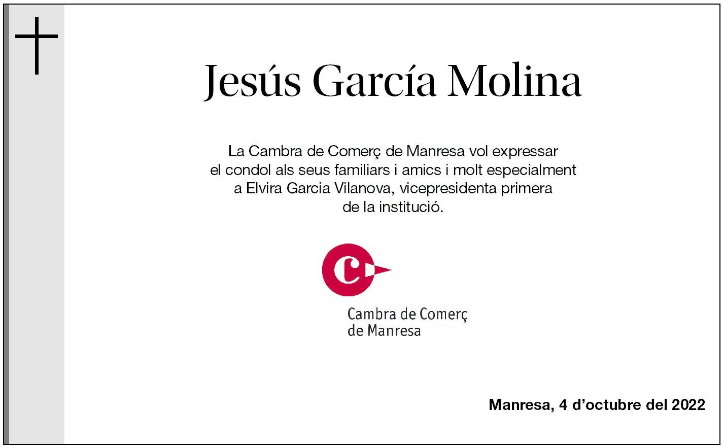 Jesús García Molina
