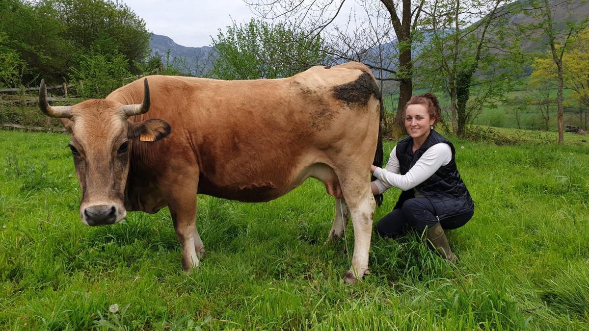 La ganadera coyana Melva Armayor, junto a una de sus vacas