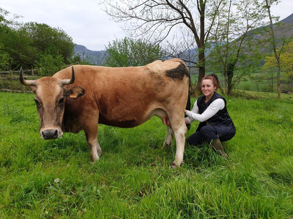 La ganadera coyana Melva Armayor, junto a una de sus vacas