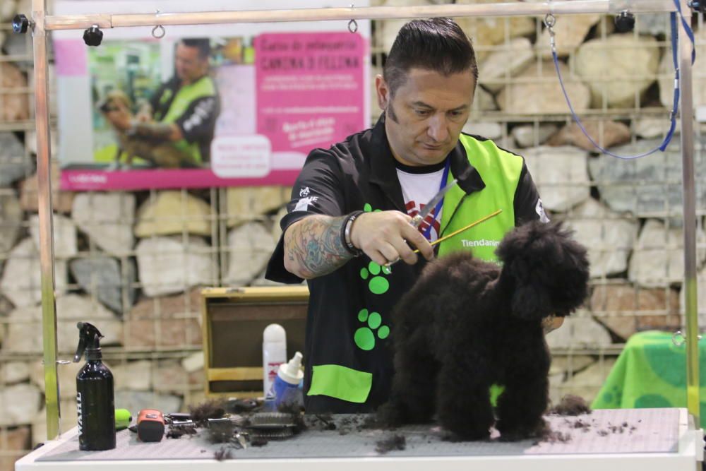 6º Salón del Animal de Compañía Mi Mascota