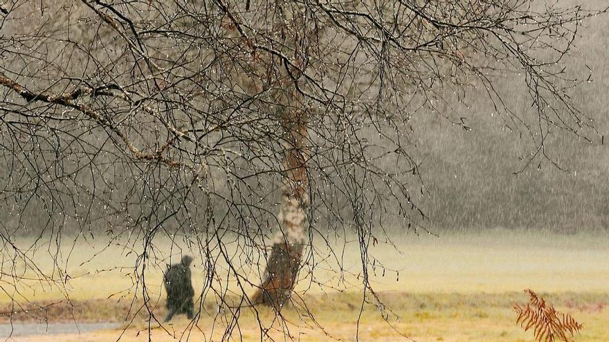 Nitsiné, peregrina de Méjico: "Mi camino empieza ahora, al llegar a la Catedral, mi camino de vida"