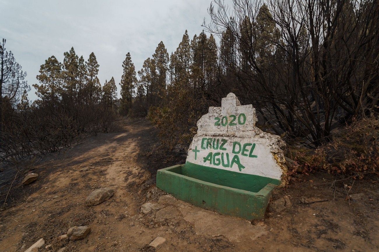 Así ha quedado el monte de Tenerife por el incendio