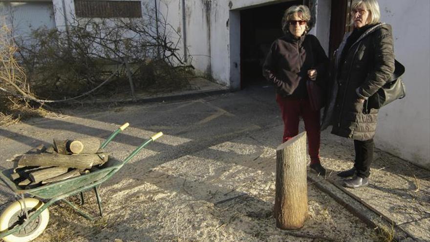 Ecologistas denuncian la tala de árboles en avenida de La Hispanidad