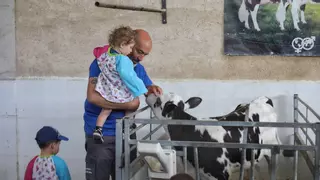 Excursión a una granja de vacas en la Zamora rural: "De aquí sale la leche"
