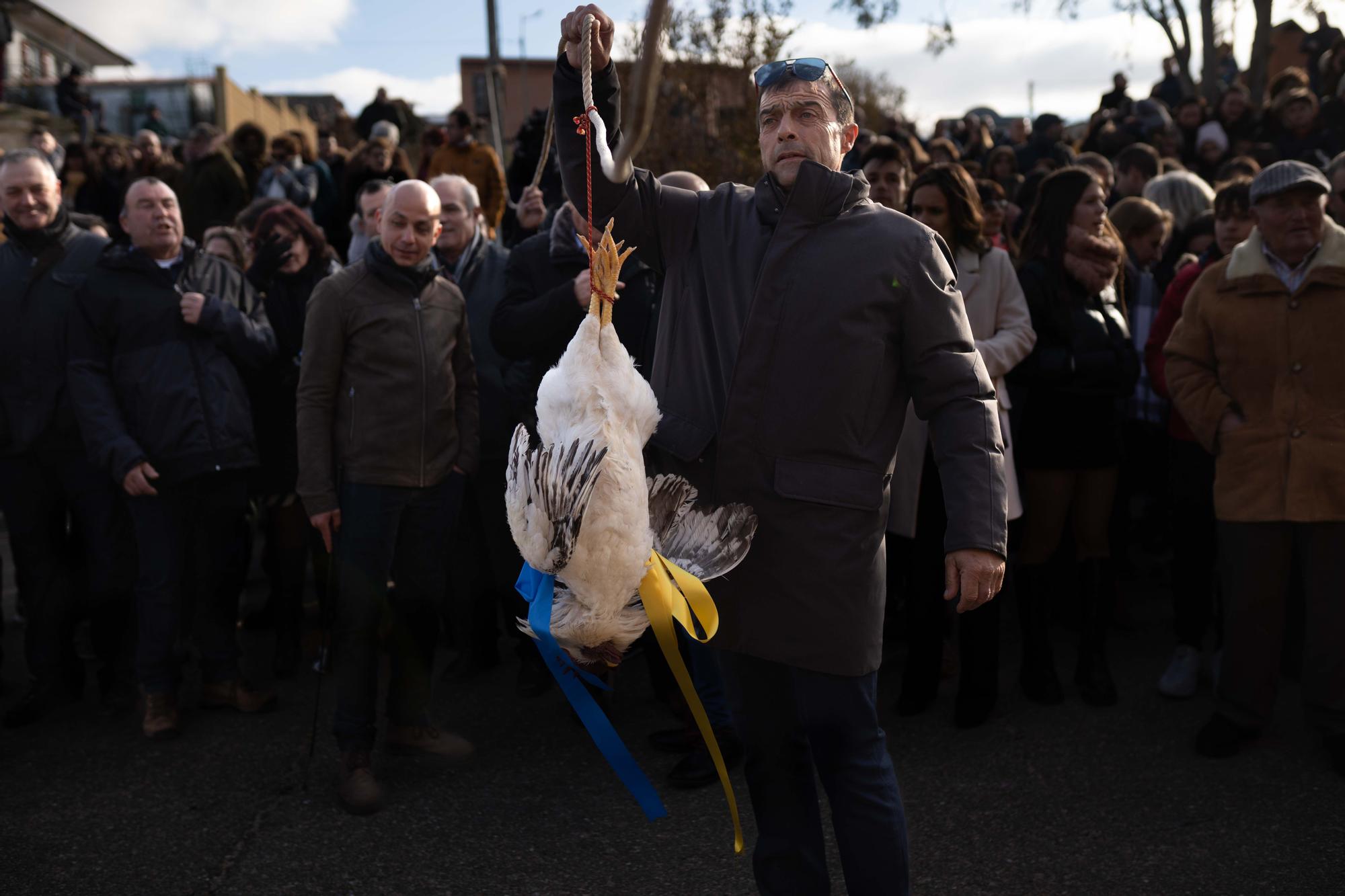 GALERÍA | La Carrera del Gallo de Guarrate, en imágenes