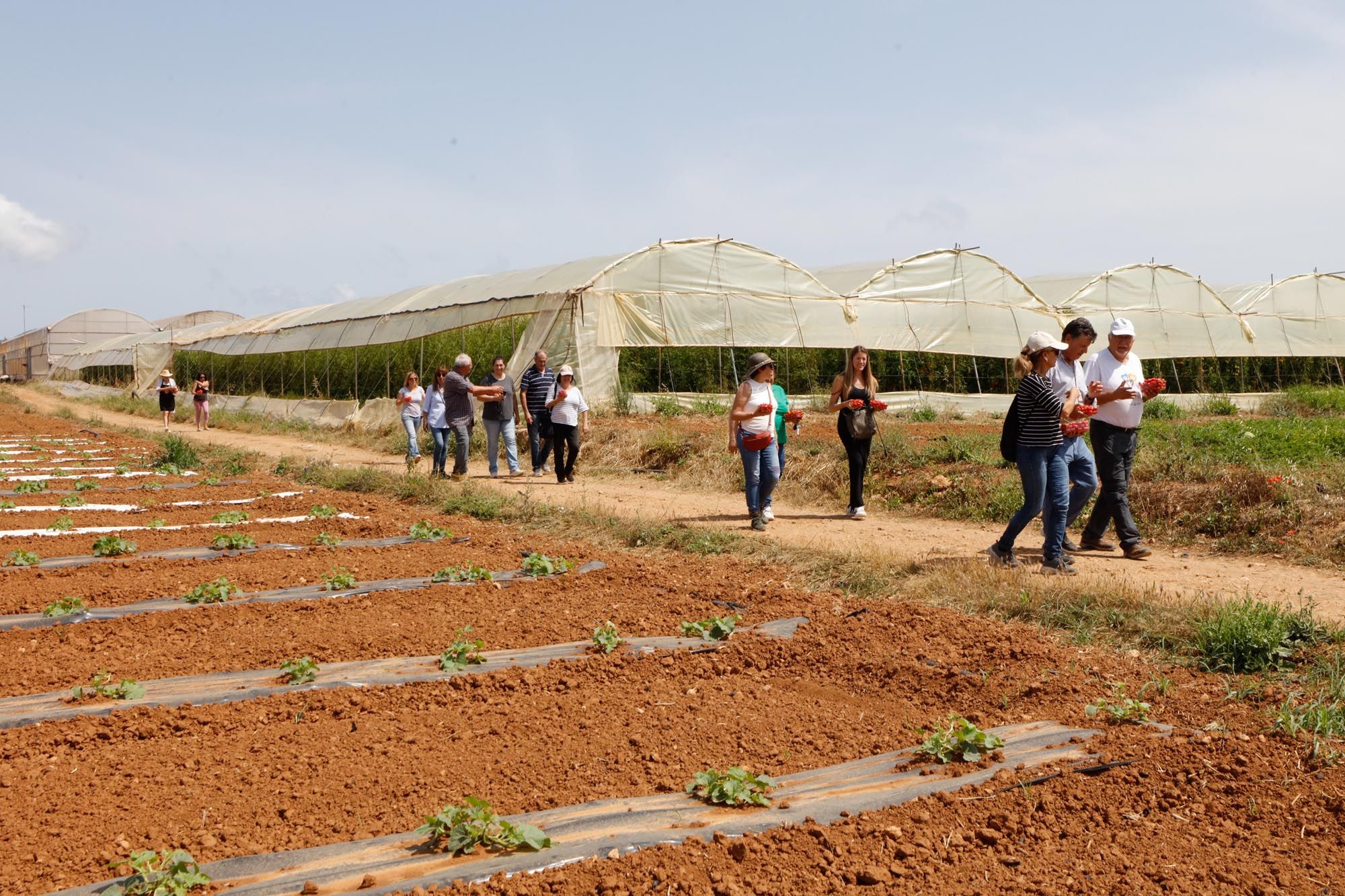 Visita guiada a la finca hortícola de Can Pol en Ibiza