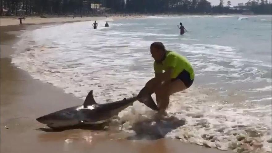 Rescata a un tiburón blanco varado arrastrándolo por su cola